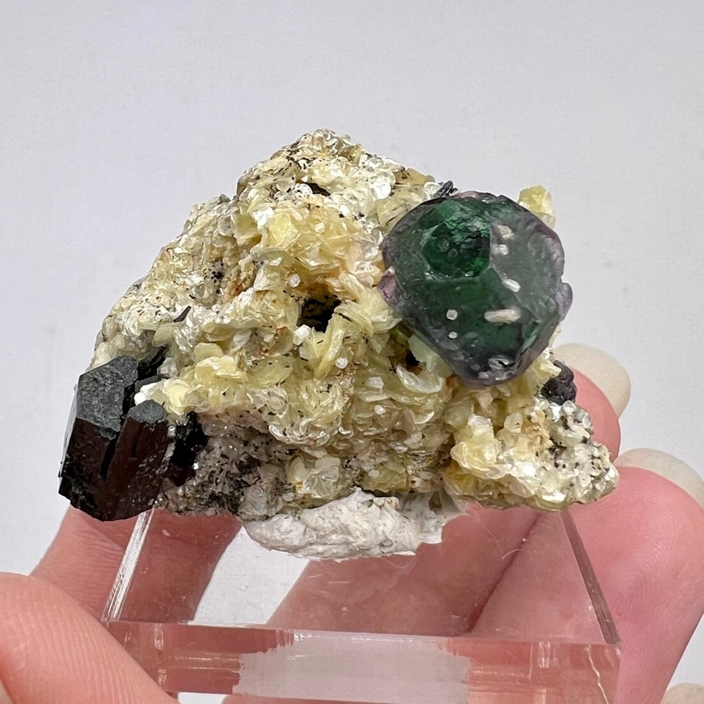 Erongo Fluorite with Schorl
